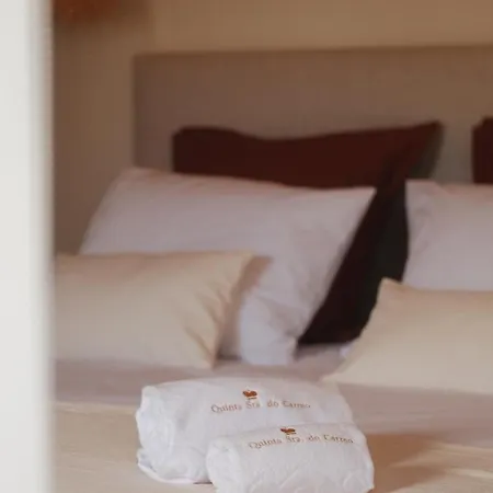 Quinta Sra Do Carmo *